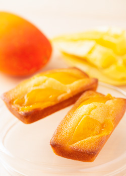 mangofinancier.jpg